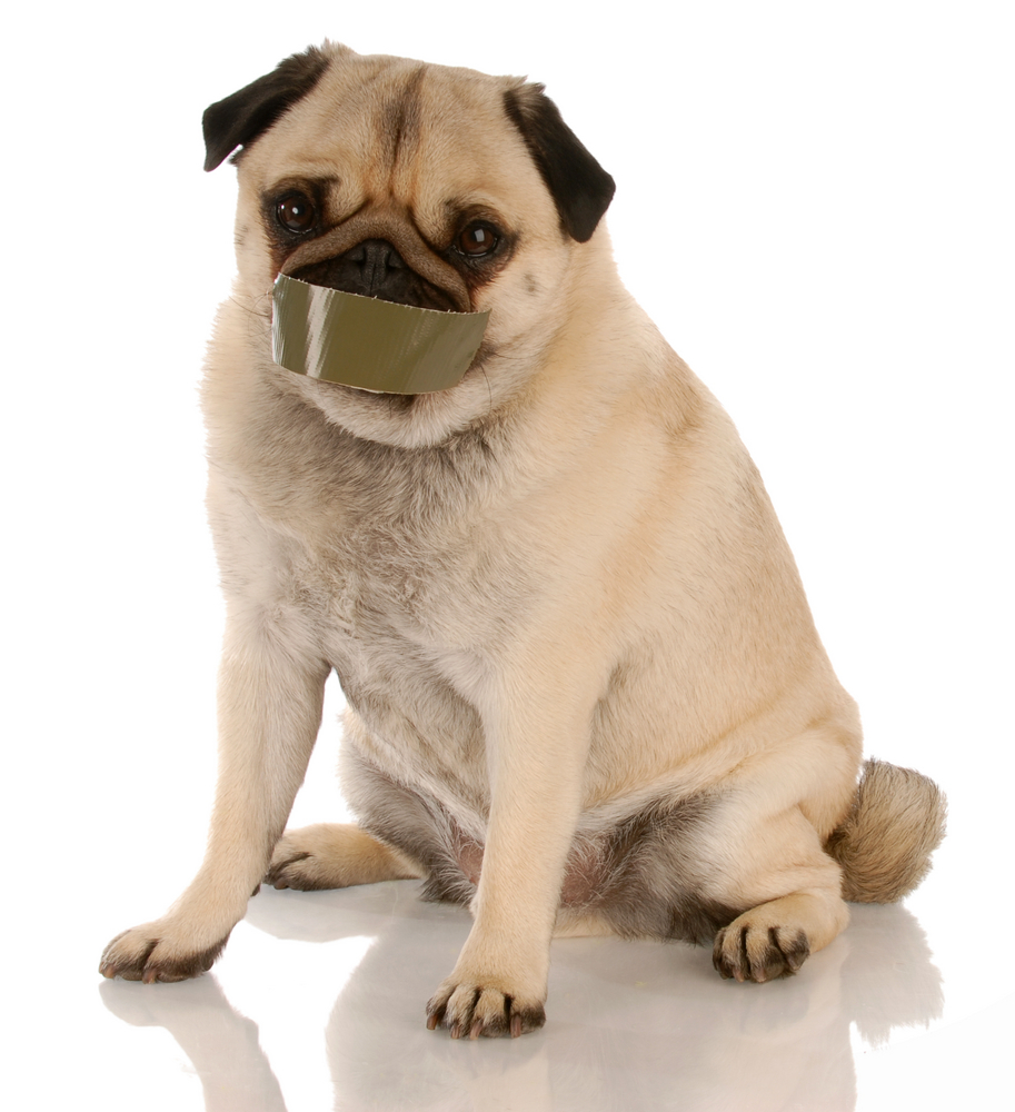 chien_aboiement_stop