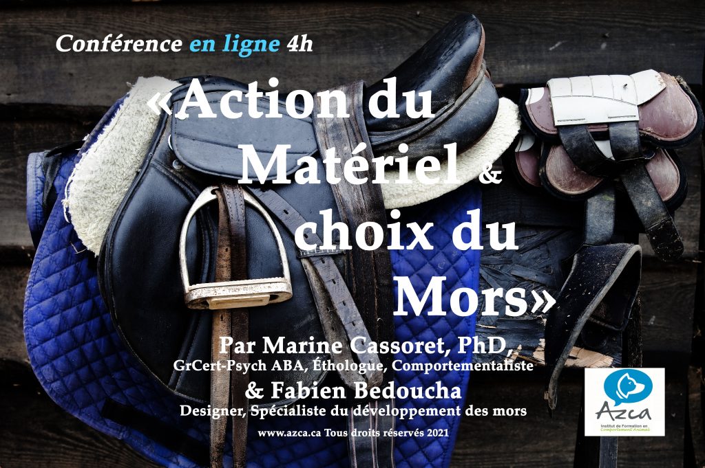 formation-comportement-equin-ethologie-equitation-quebec, Formation ...
